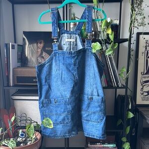 Free People  Denim Overalls